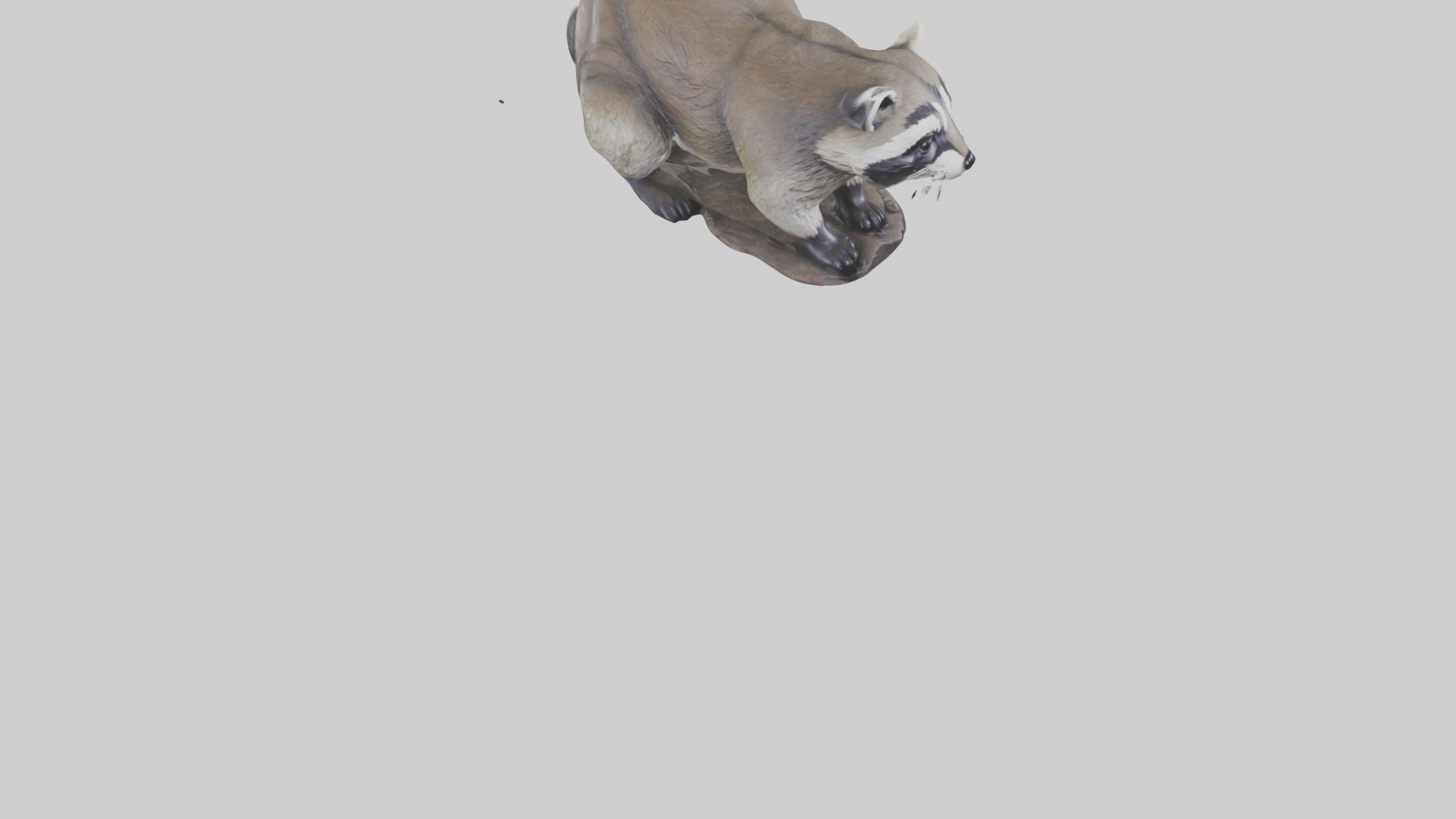 Raccoon statue model Low-poly 3D model_7