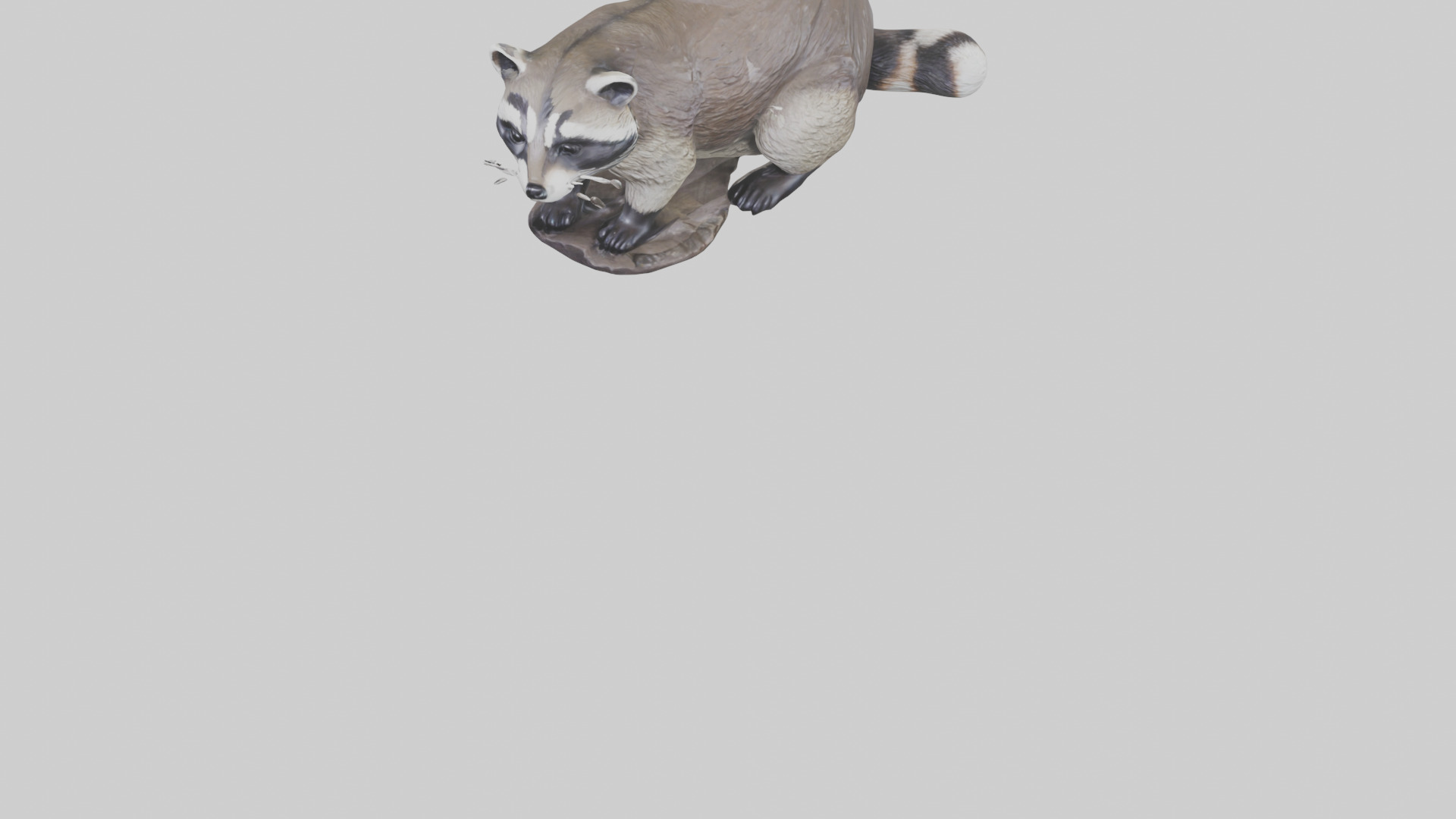 Raccoon statue model Low-poly 3D model_6