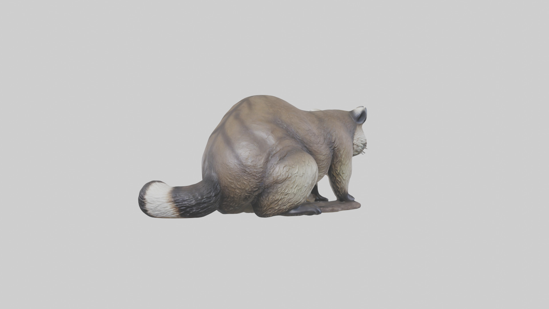 Raccoon statue model Low-poly 3D model_3