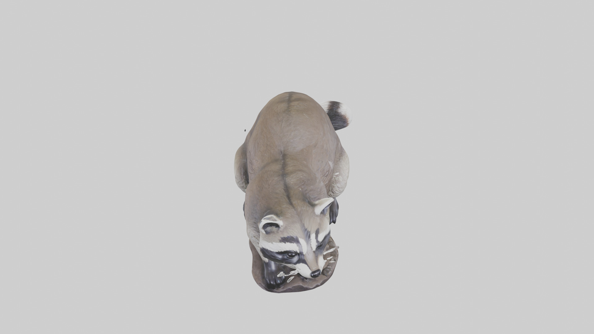 Raccoon statue model Low-poly 3D model_16