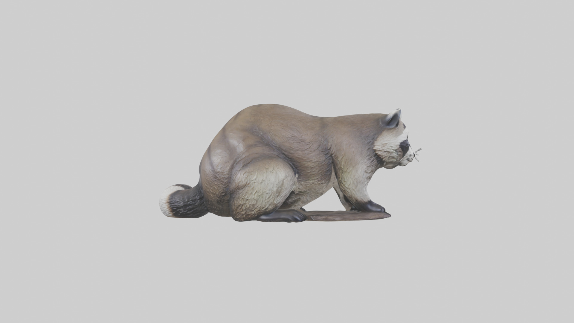 Raccoon statue model Low-poly 3D model_13