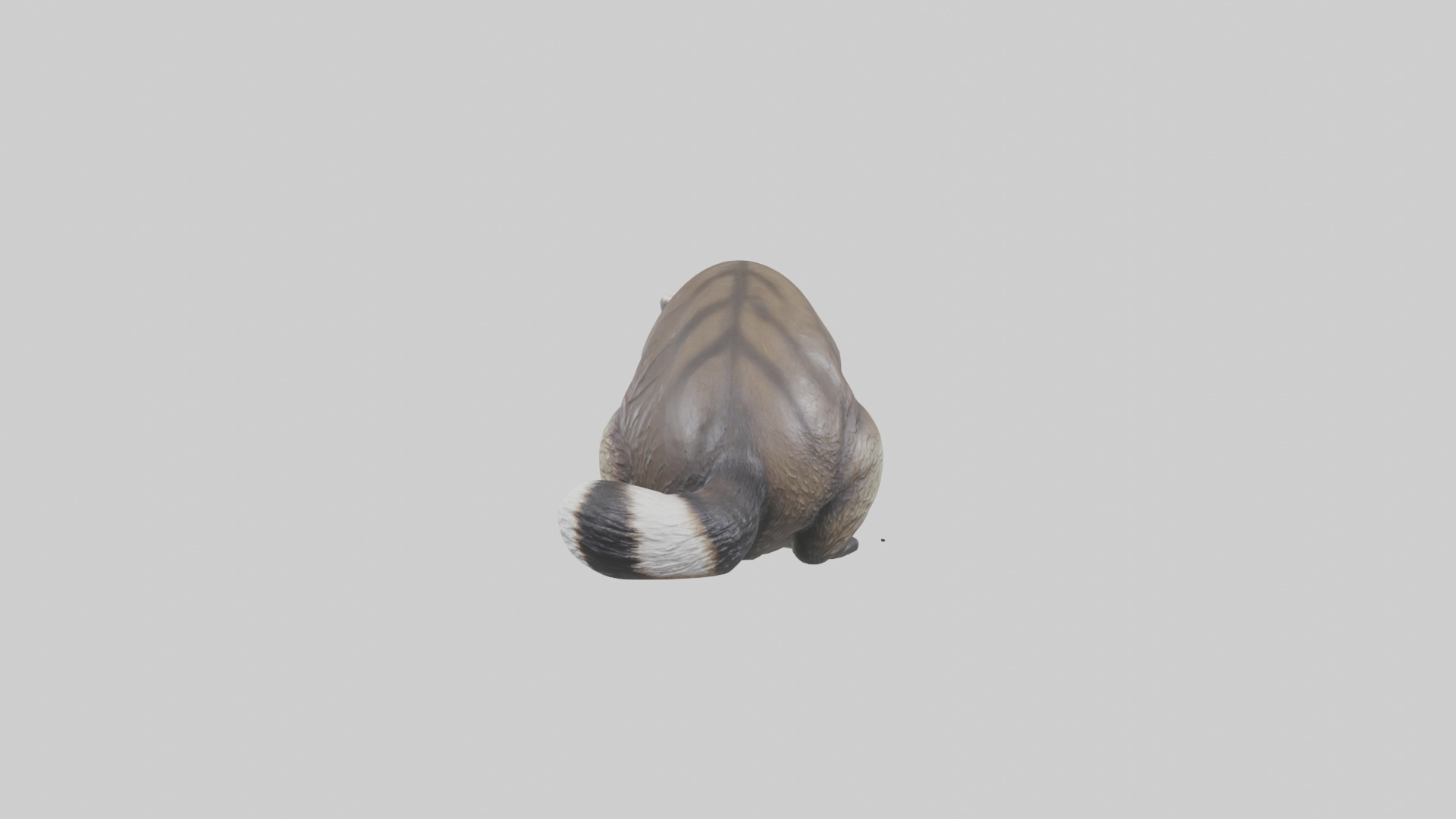 Raccoon statue model Low-poly 3D model_1