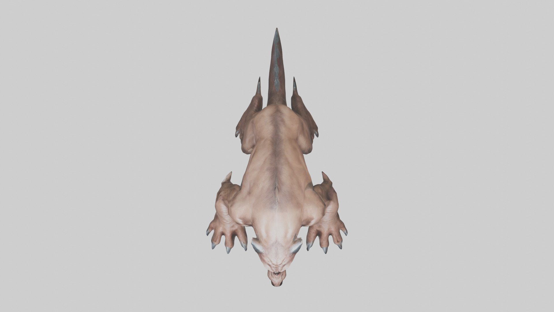 Raging Beast Model Low-poly 3D model_14