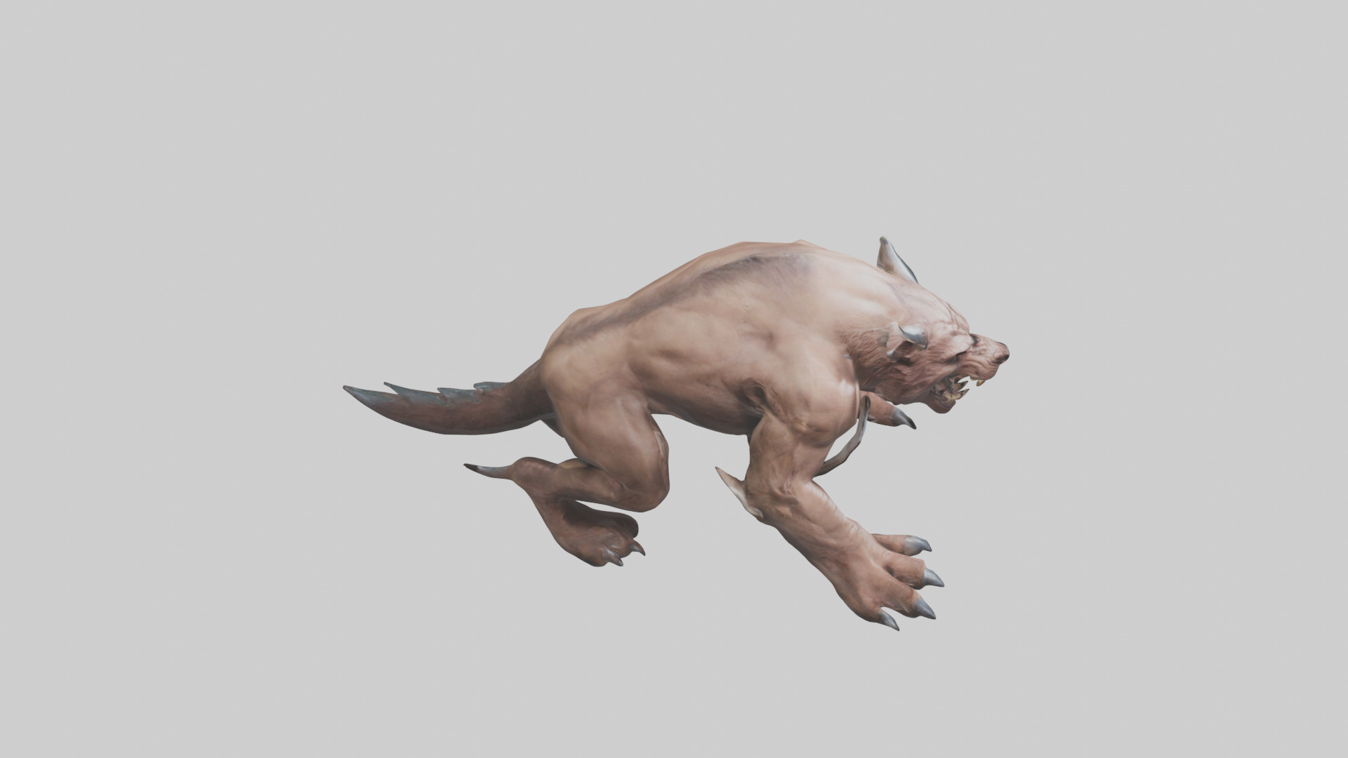 Raging Beast Model Low-poly 3D model_18