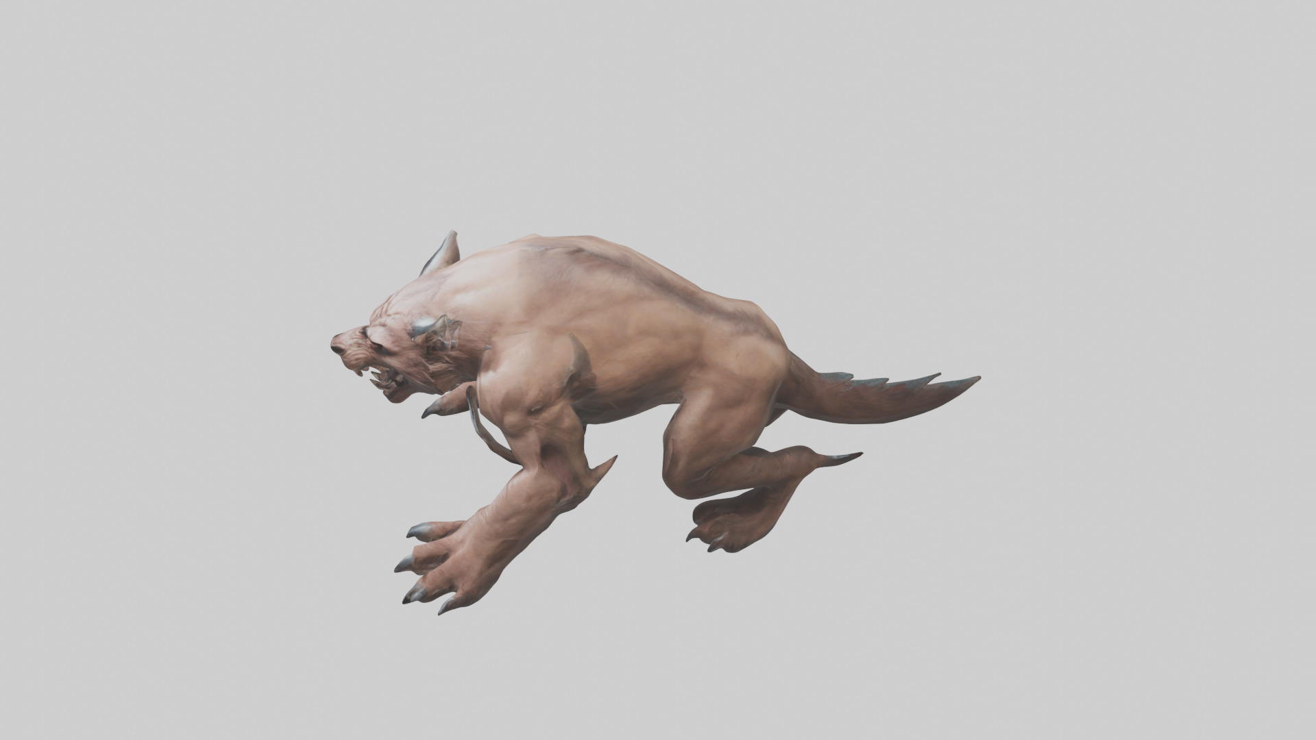 Raging Beast Model Low-poly 3D model_17