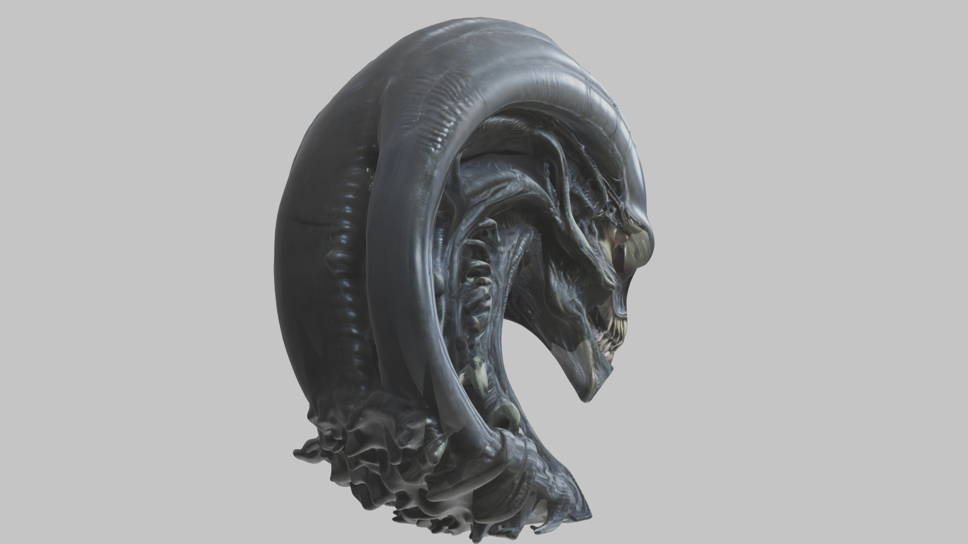HR Giger Alien Bust  Xenomorph Creature Low-poly 3D model_53