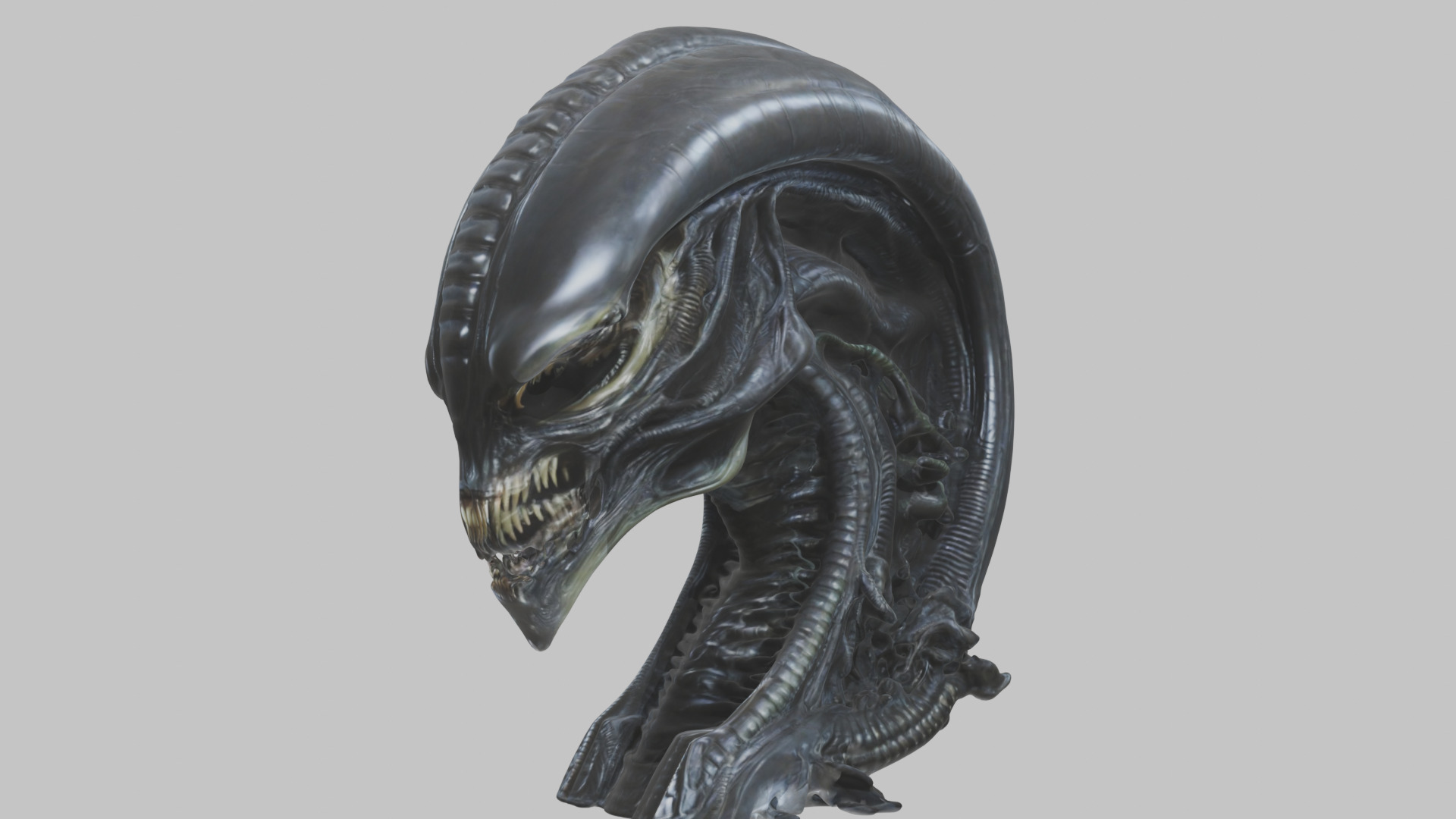 HR Giger Alien Bust  Xenomorph Creature Low-poly 3D model_61