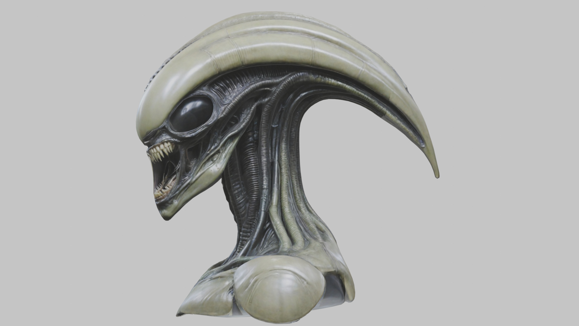 Alien Xenomorph Head Bust 3 texture Version Low-poly 3D model_68