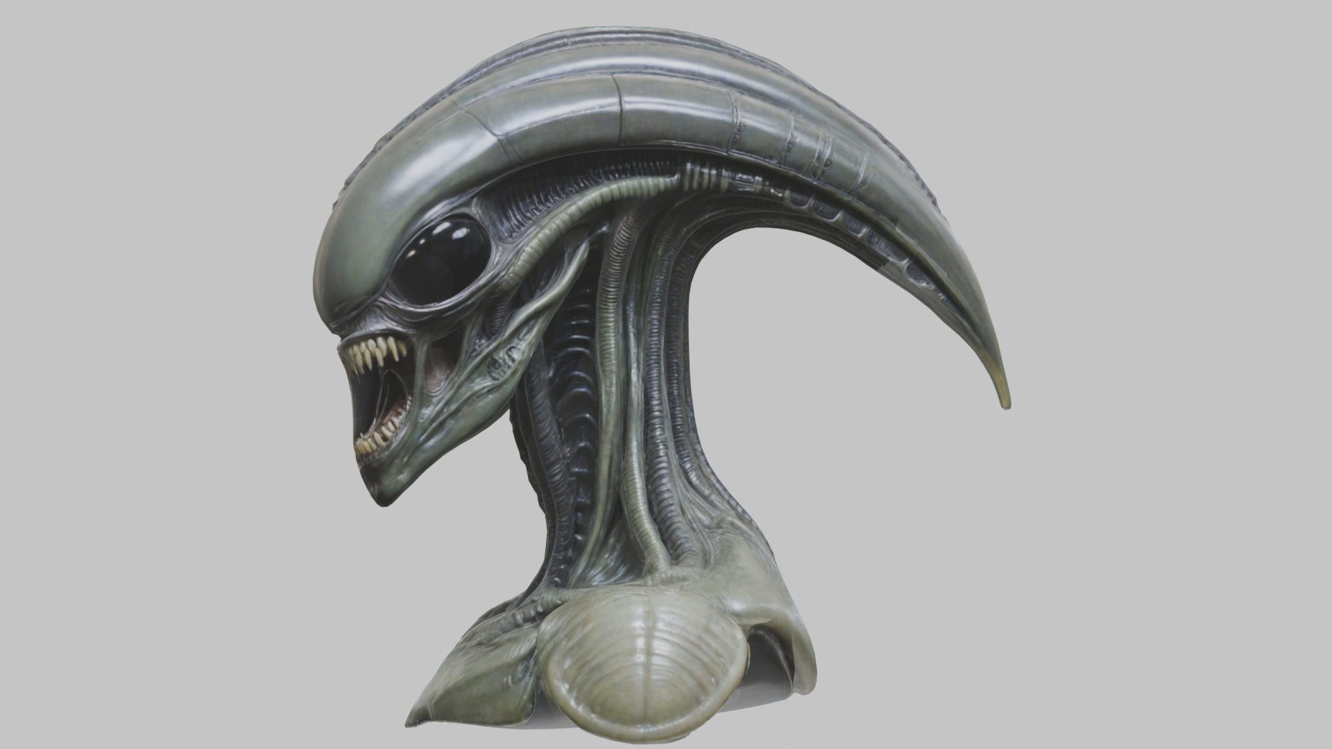 Alien Xenomorph Head Bust 3 texture Version Low-poly 3D model_32