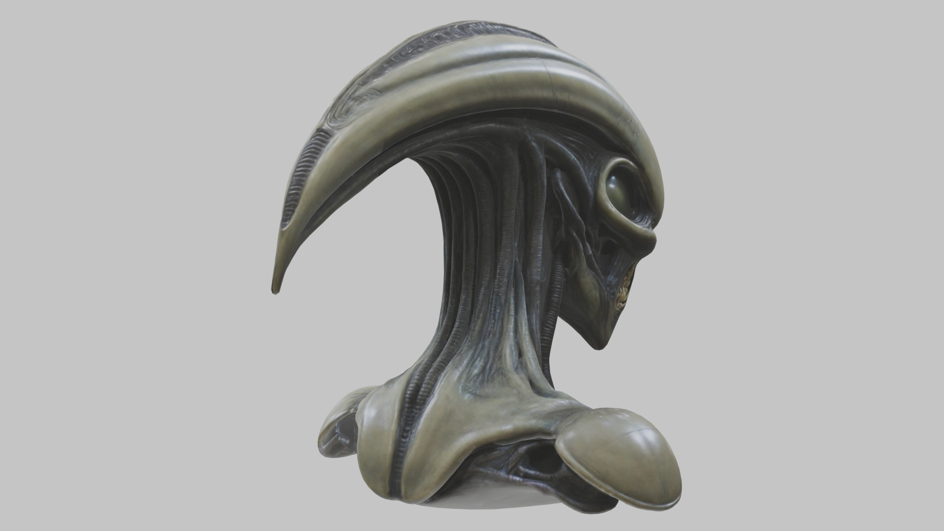 Alien Xenomorph Head Bust 3 texture Version Low-poly 3D model_85