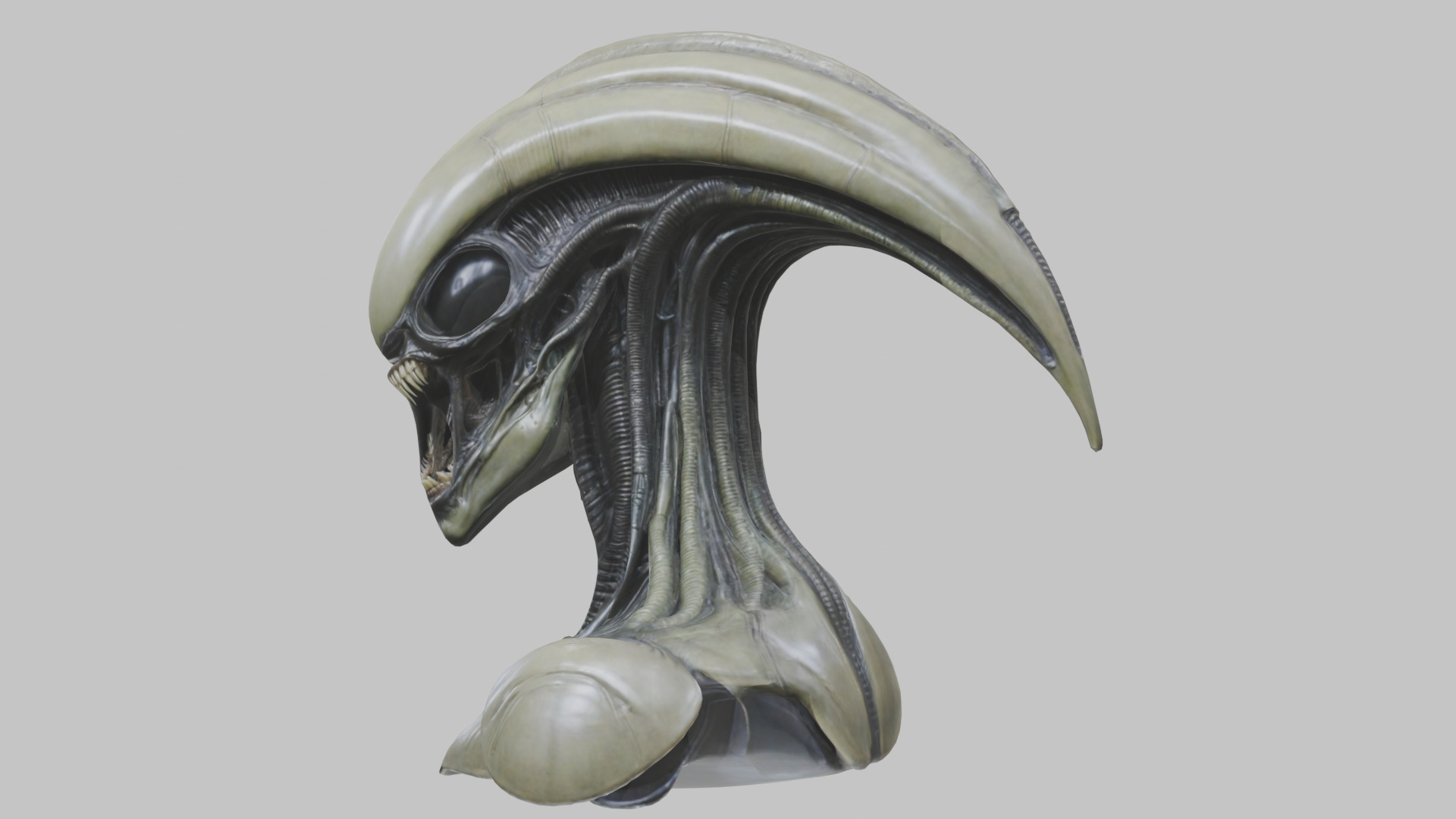 Alien Xenomorph Head Bust 3 texture Version Low-poly 3D model_87