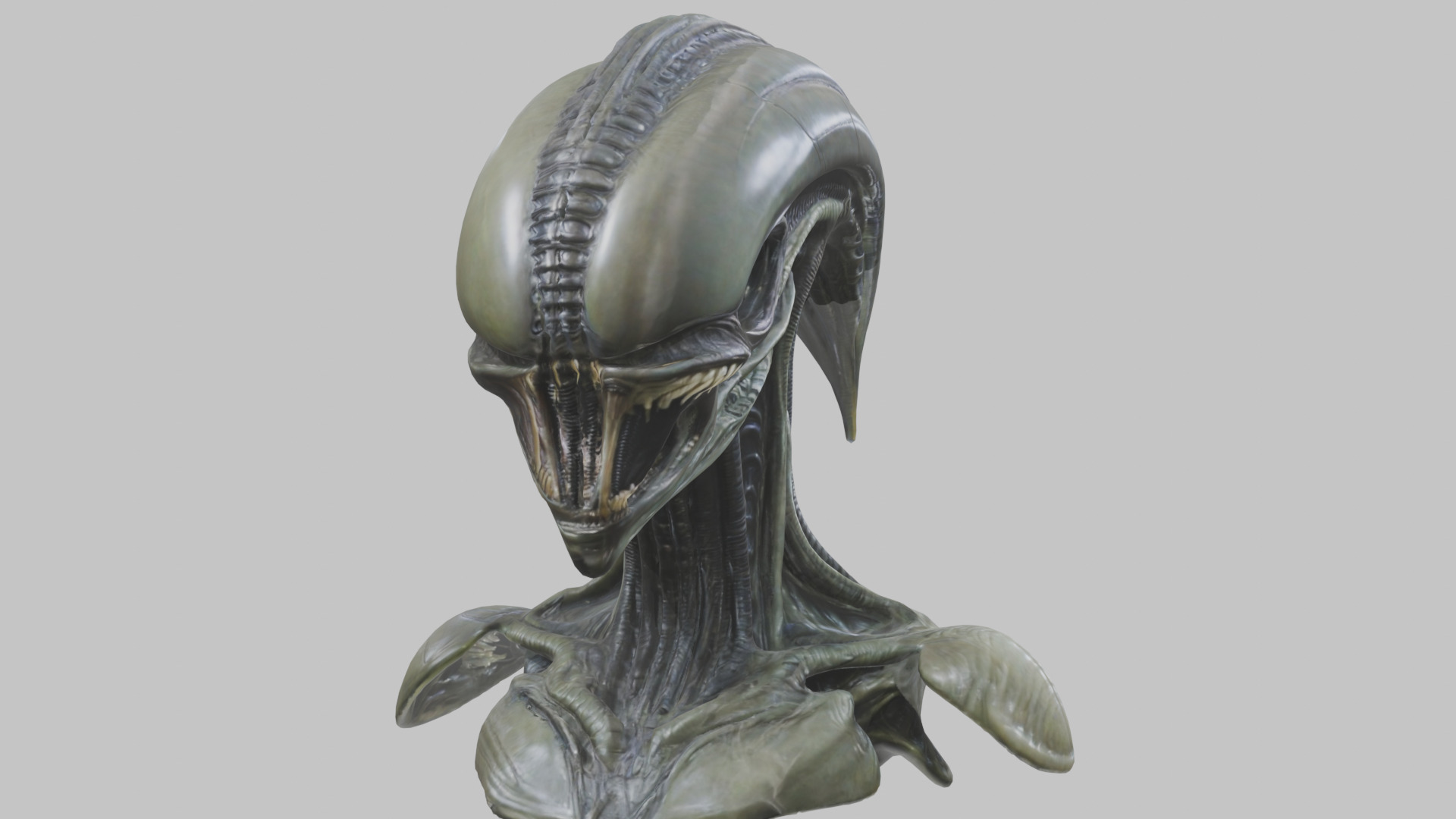Alien Xenomorph Head Bust 3 texture Version Low-poly 3D model_60
