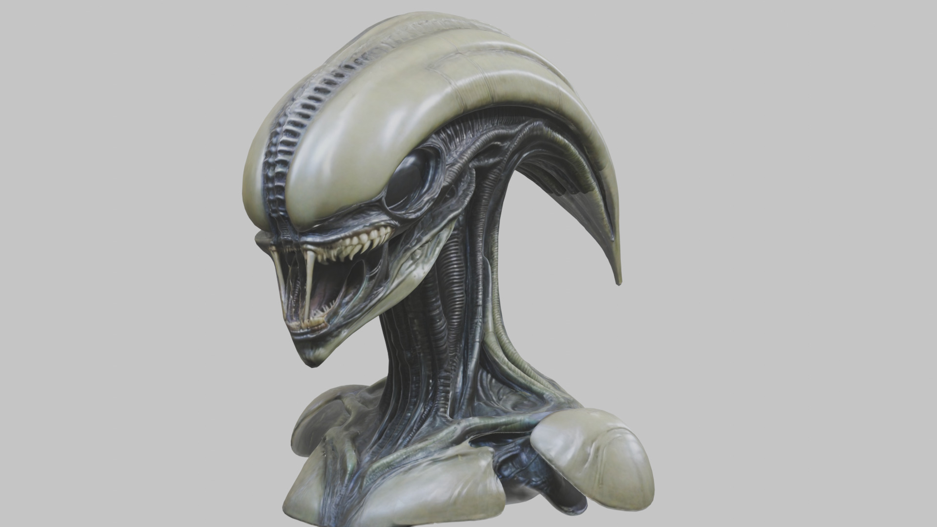 Alien Xenomorph Head Bust 3 texture Version Low-poly 3D model_83