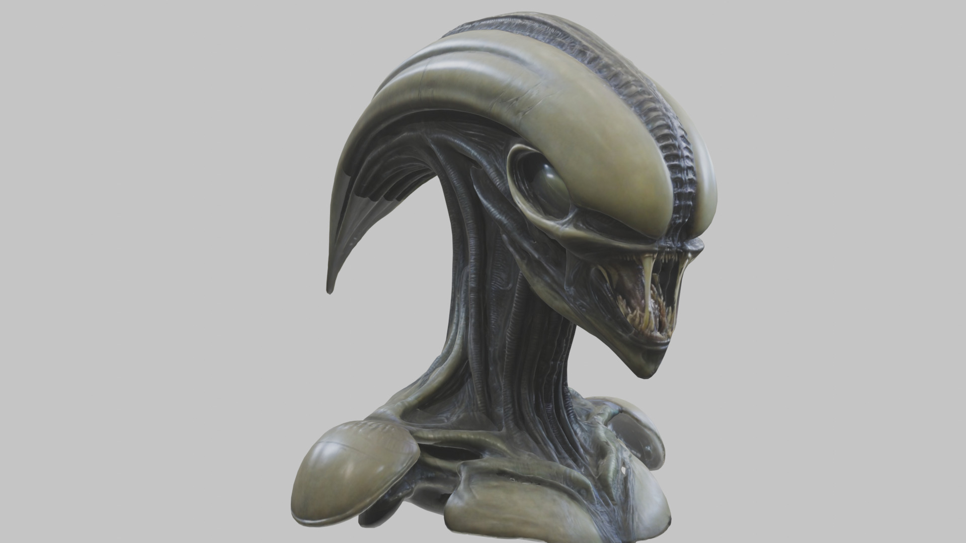 Alien Xenomorph Head Bust 3 texture Version Low-poly 3D model_79