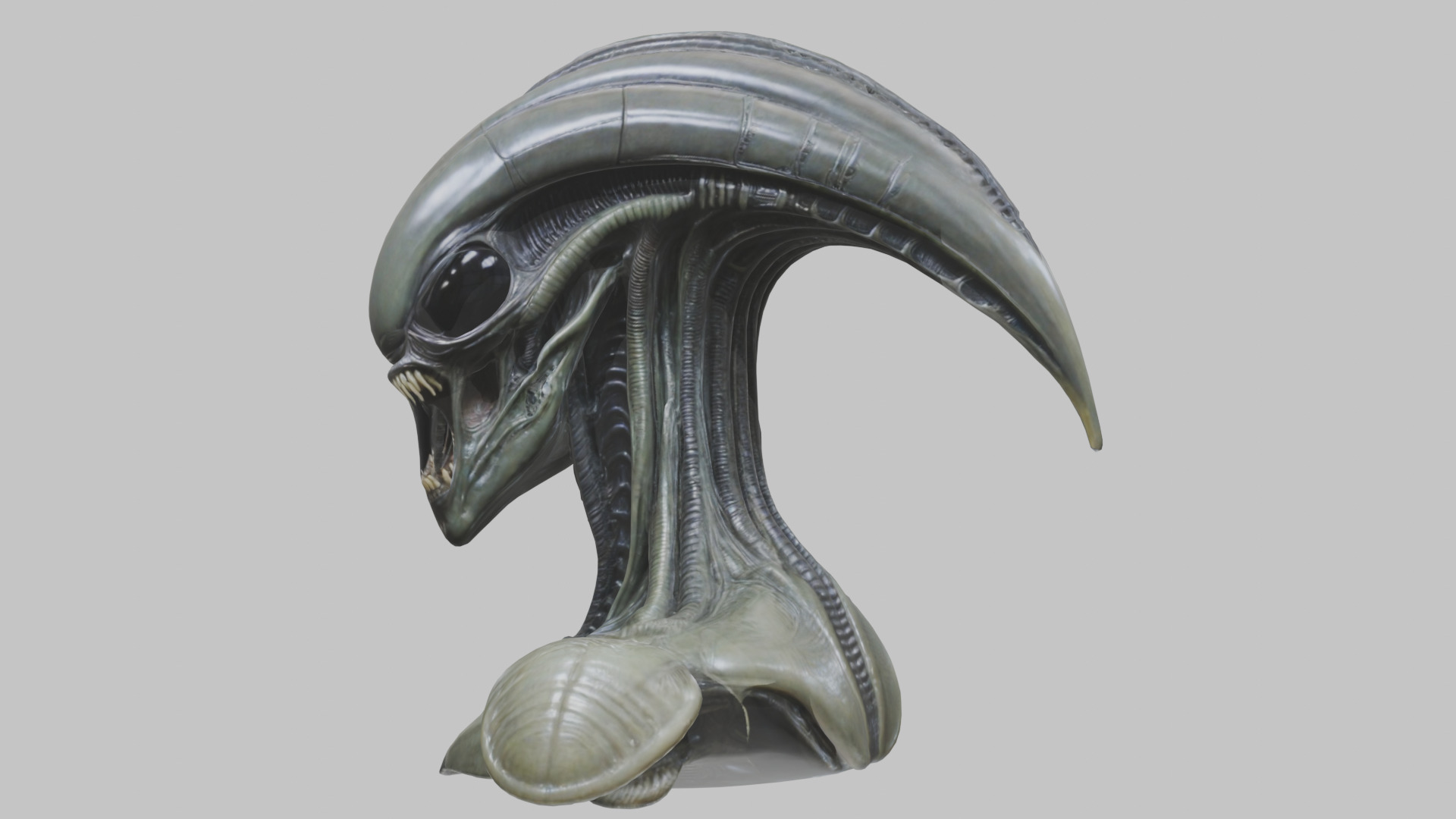 Alien Xenomorph Head Bust 3 texture Version Low-poly 3D model_48
