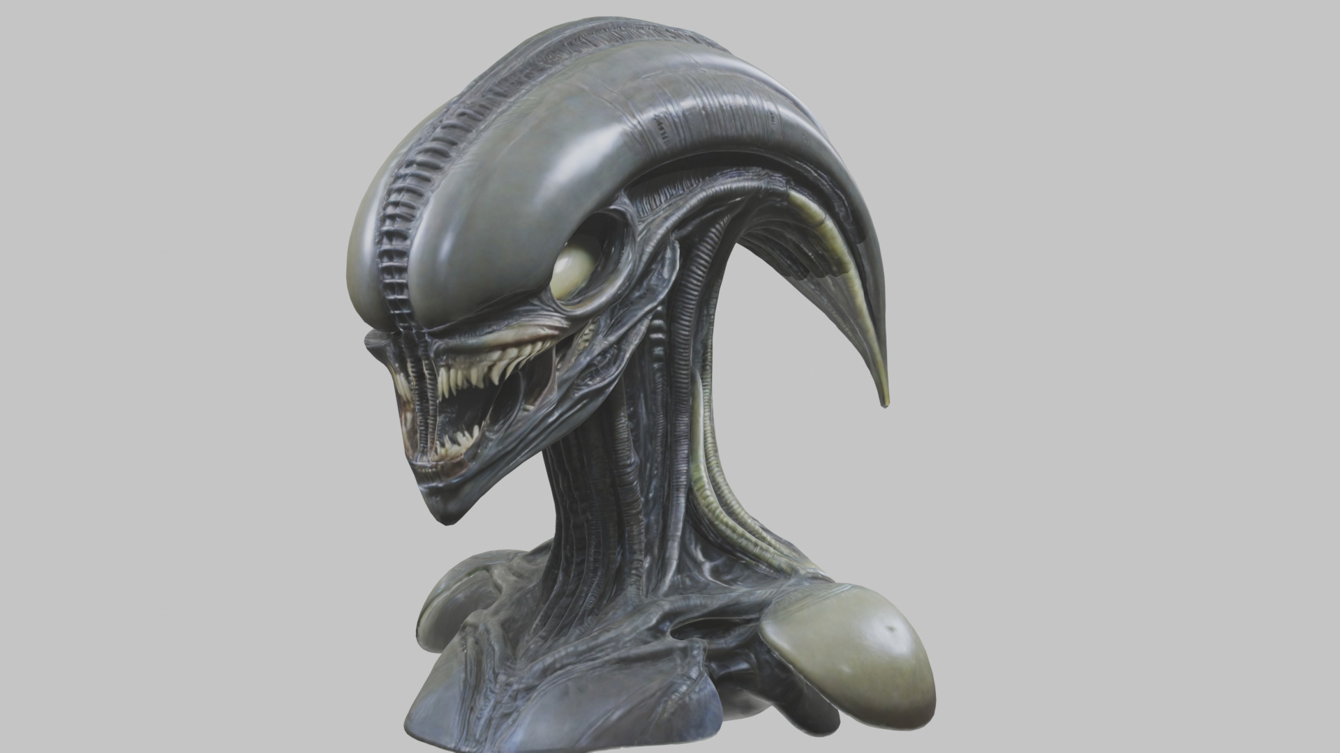 Alien Xenomorph Head Bust 3 texture Version Low-poly 3D model_5