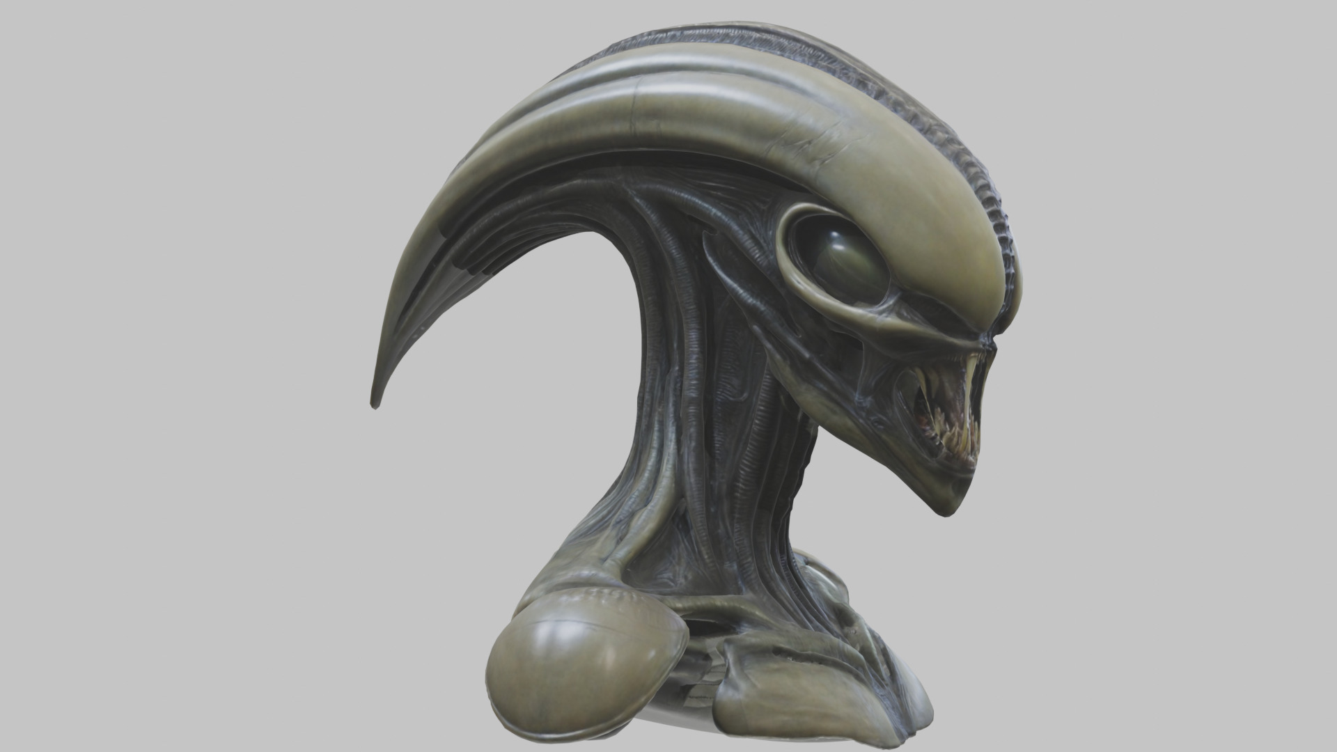 Alien Xenomorph Head Bust 3 texture Version Low-poly 3D model_71