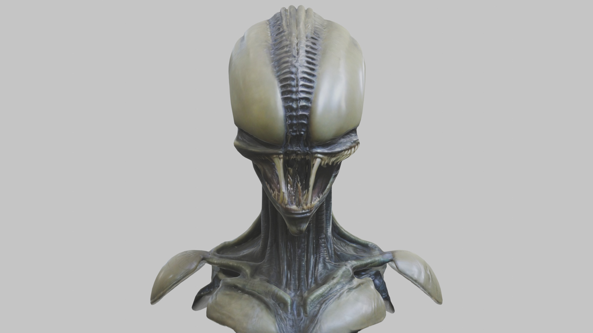 Alien Xenomorph Head Bust 3 texture Version Low-poly 3D model_66
