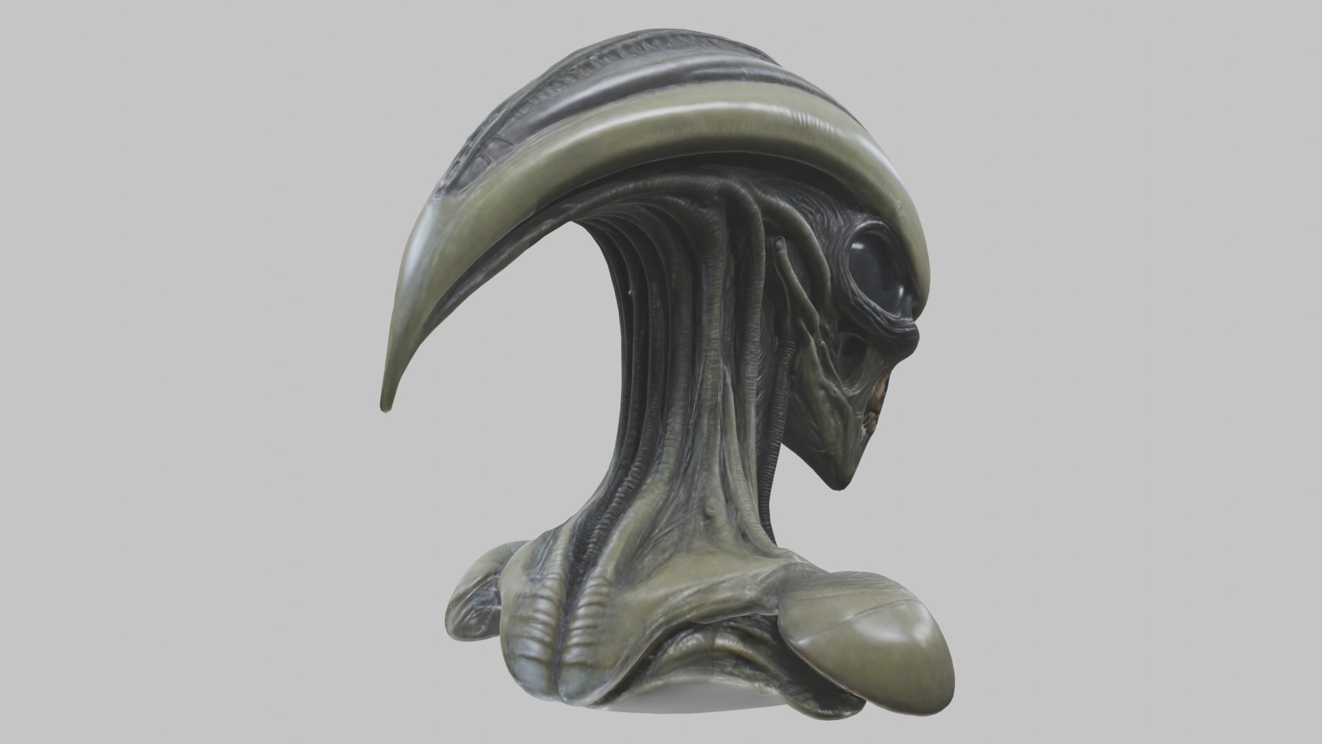 Alien Xenomorph Head Bust 3 texture Version Low-poly 3D model_31