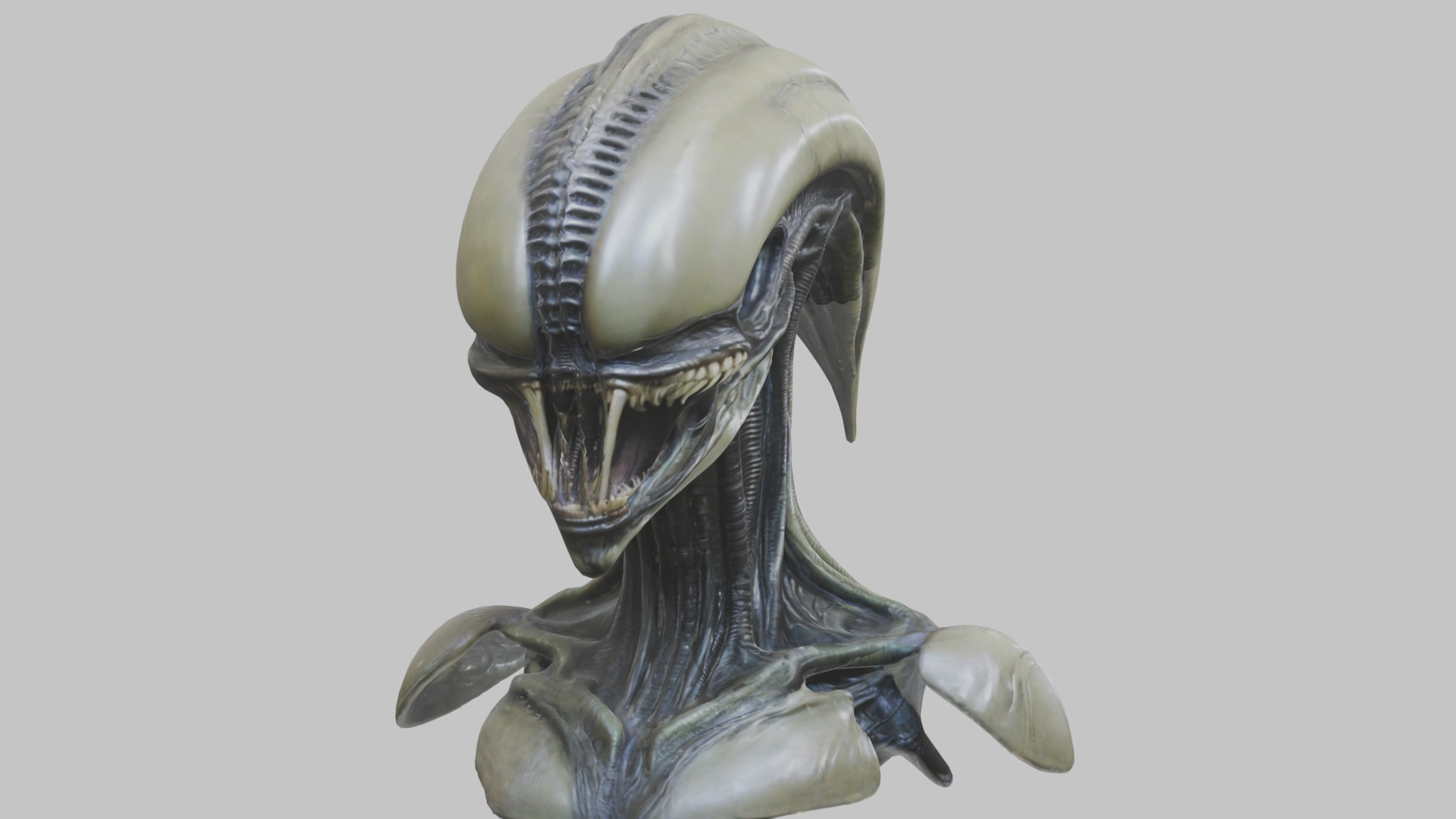 Alien Xenomorph Head Bust 3 texture Version Low-poly 3D model_72