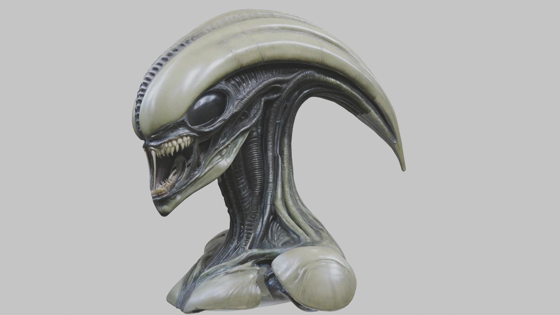 Alien Xenomorph Head Bust 3 texture Version Low-poly 3D model_64