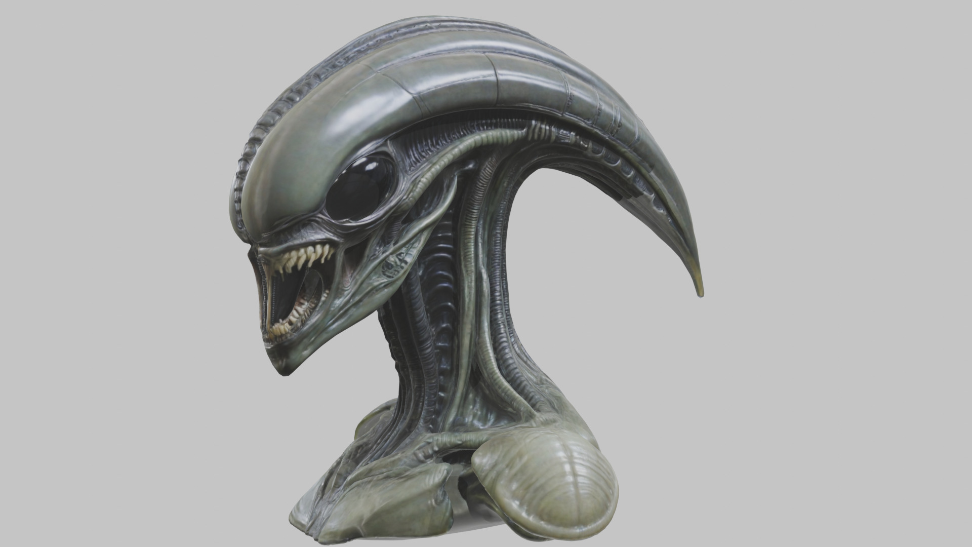 Alien Xenomorph Head Bust 3 texture Version Low-poly 3D model_33