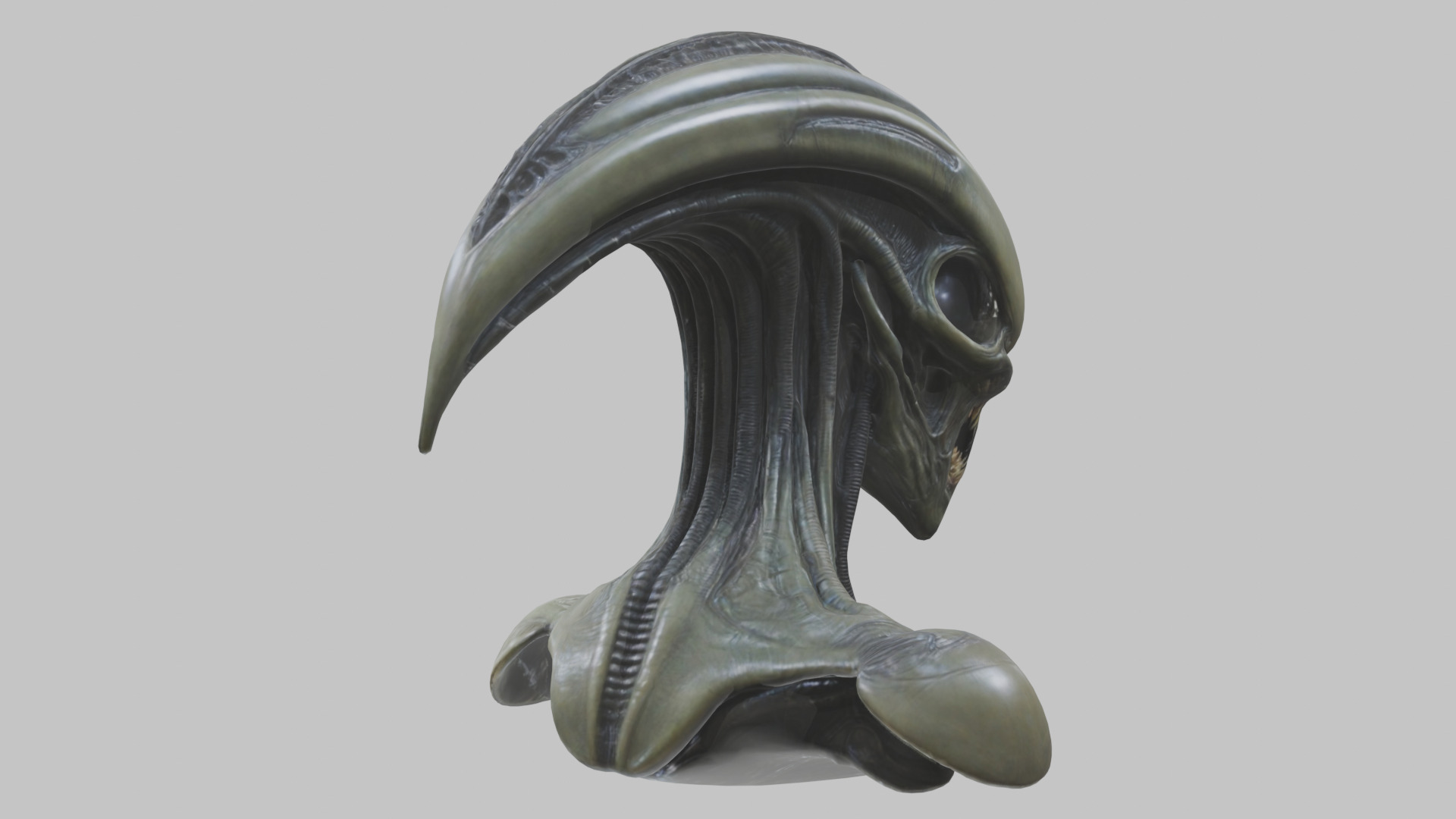 Alien Xenomorph Head Bust 3 texture Version Low-poly 3D model_55