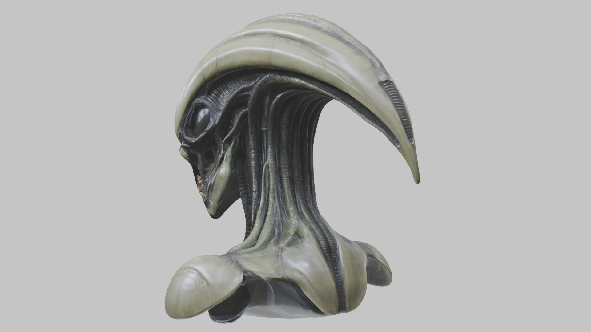 Alien Xenomorph Head Bust 3 texture Version Low-poly 3D model_95