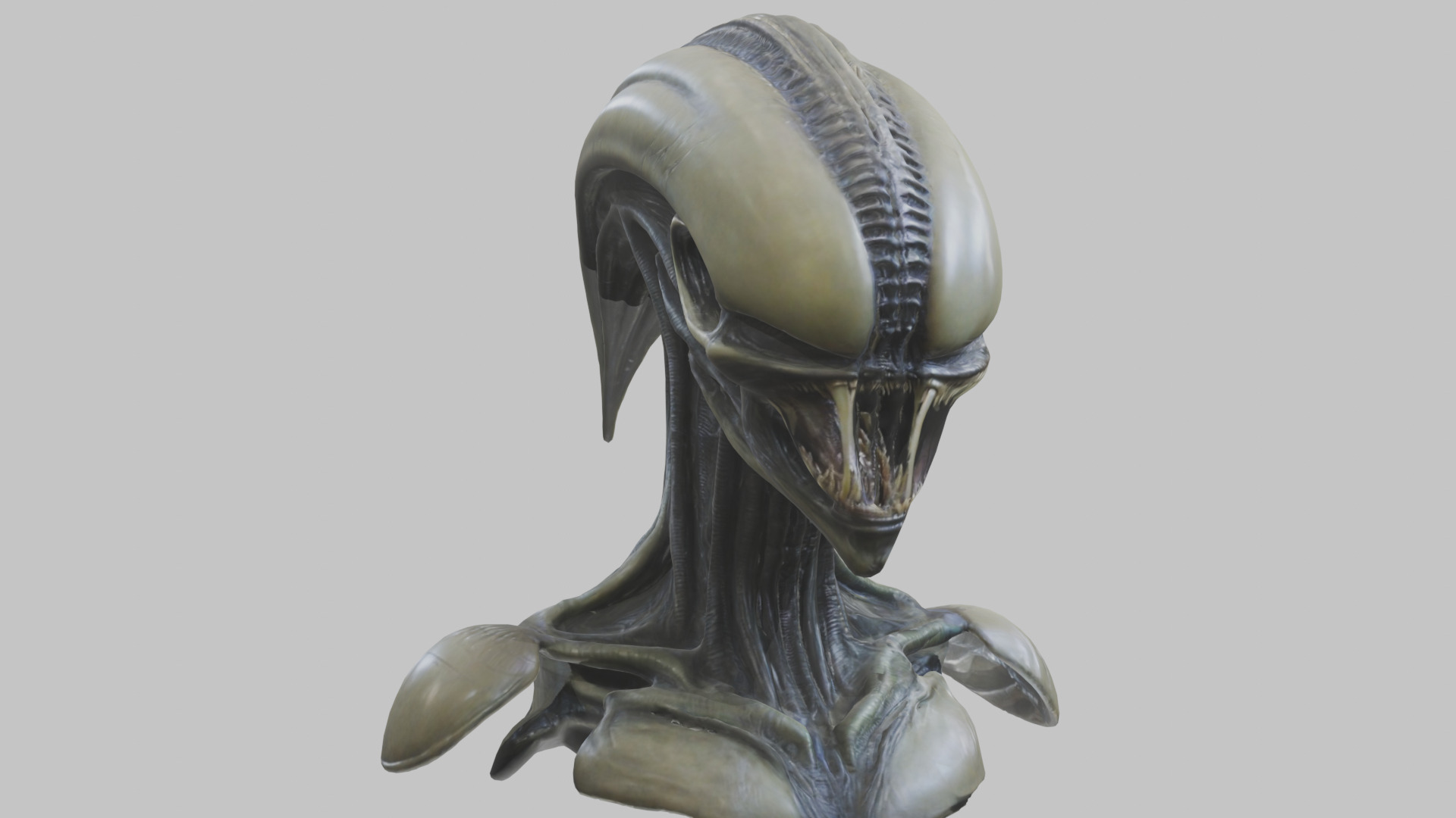 Alien Xenomorph Head Bust 3 texture Version Low-poly 3D model_67