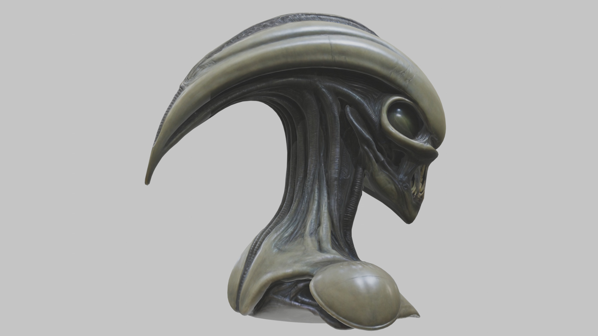 Alien Xenomorph Head Bust 3 texture Version Low-poly 3D model_69