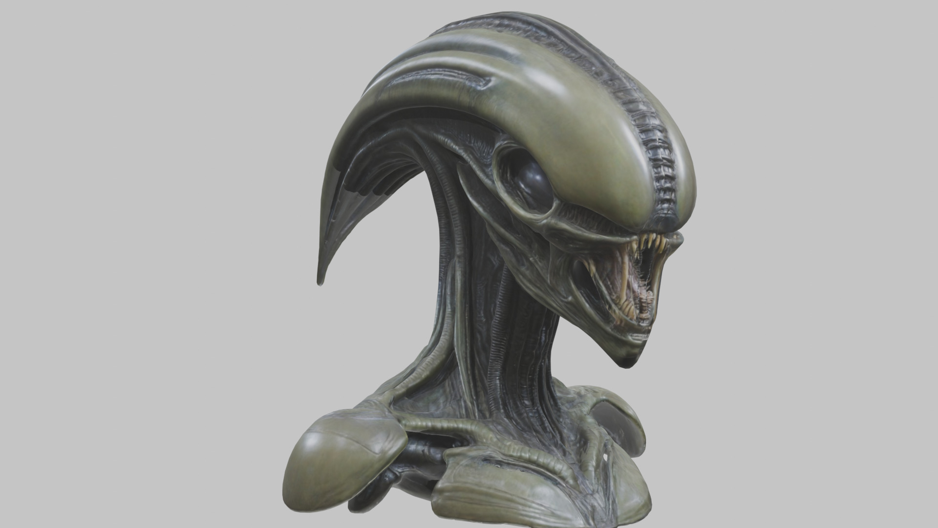 Alien Xenomorph Head Bust 3 texture Version Low-poly 3D model_37