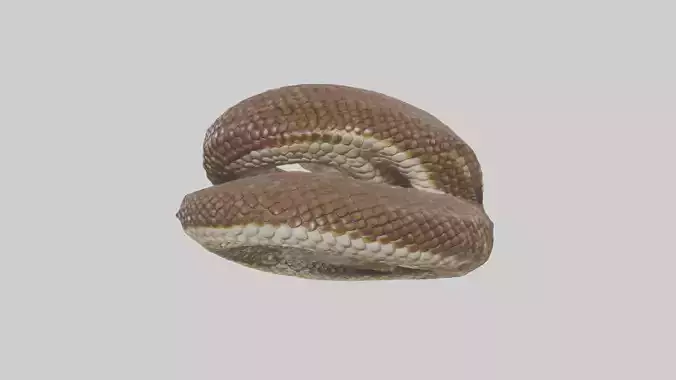 Rattlesnake statue model
