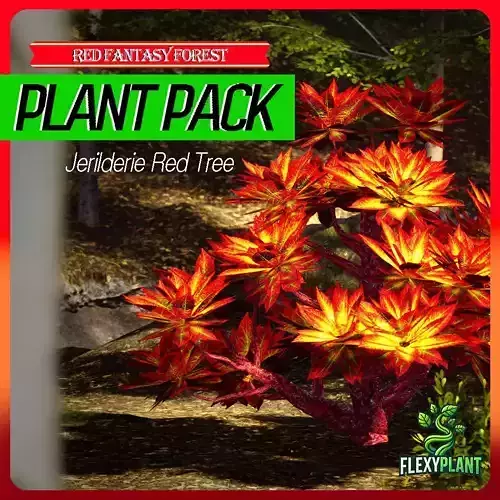 Red Fantasy Forest - 6 Jerilderie Red Tree Conifer Plant