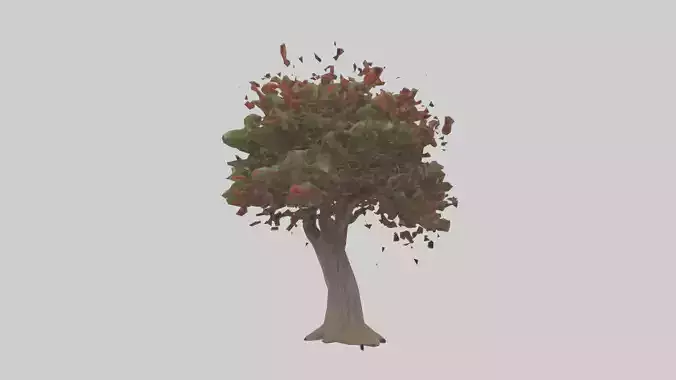 Red Bay tree model