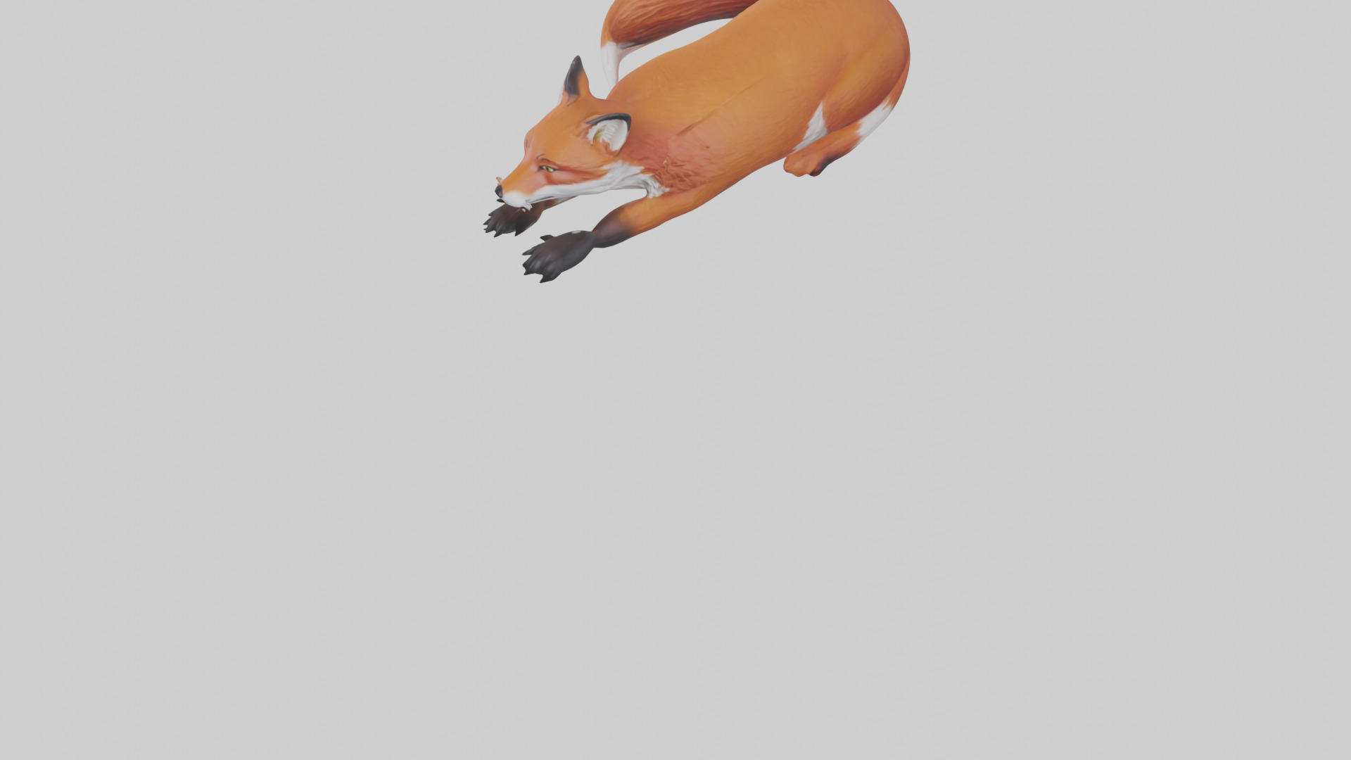 Red Fox resting model Low-poly 3D model_7