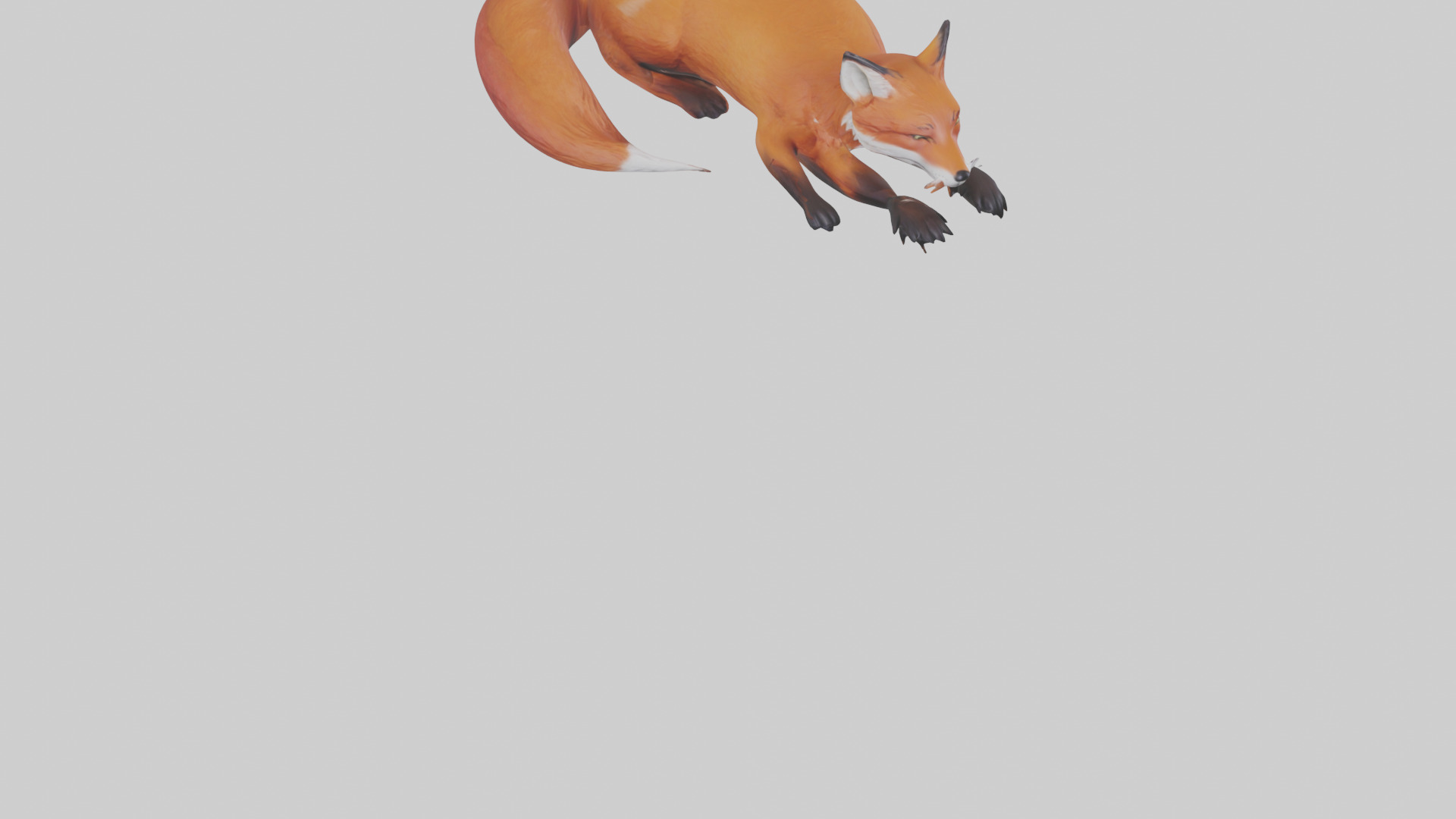 Red Fox resting model Low-poly 3D model_8