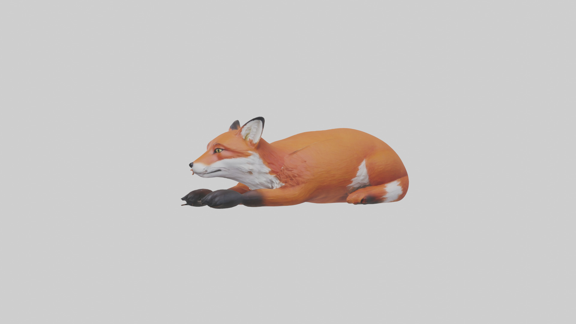 Red Fox resting model Low-poly 3D model_1