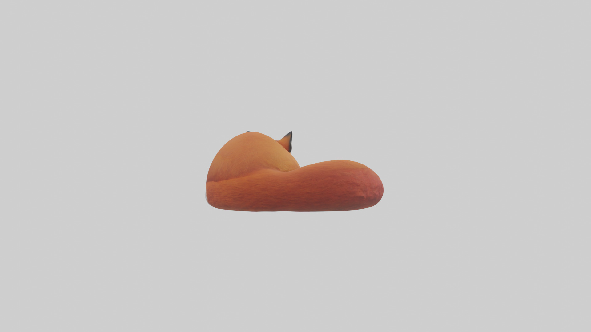 Red Fox resting model Low-poly 3D model_2