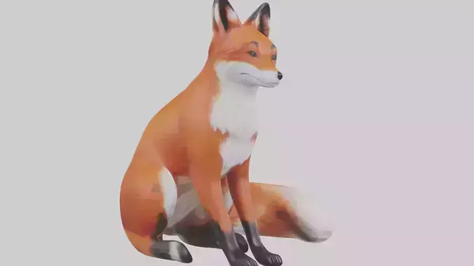 Red Fox sitting model Low-poly 3D model