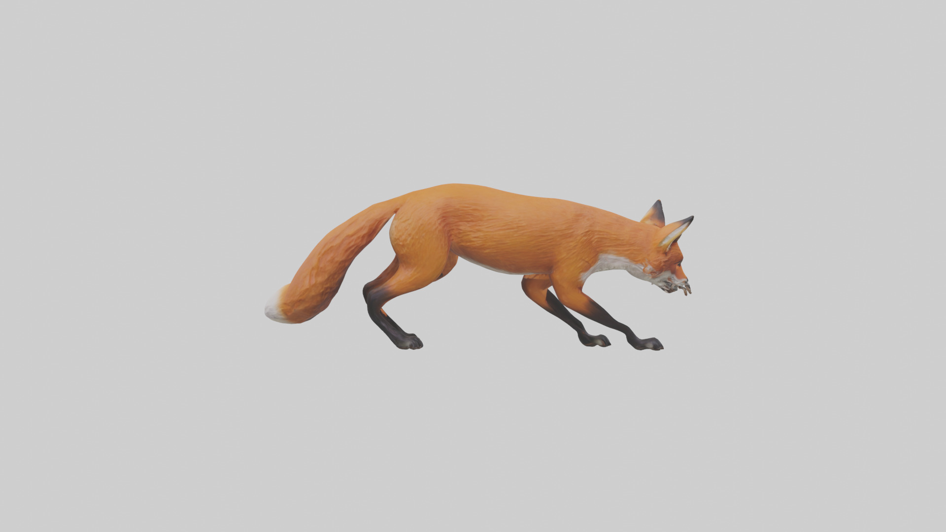 Red Fox stalking model Low-poly 3D model_13
