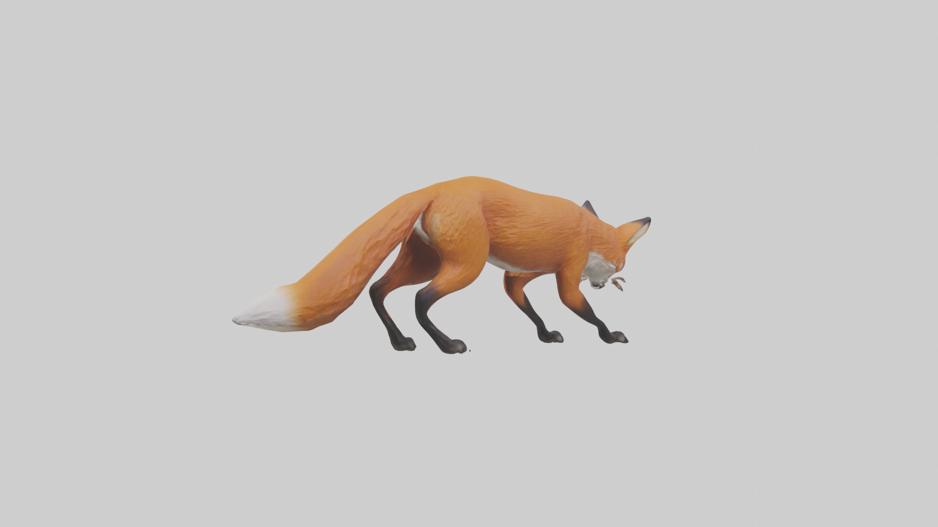 Red Fox stalking model Low-poly 3D model_4