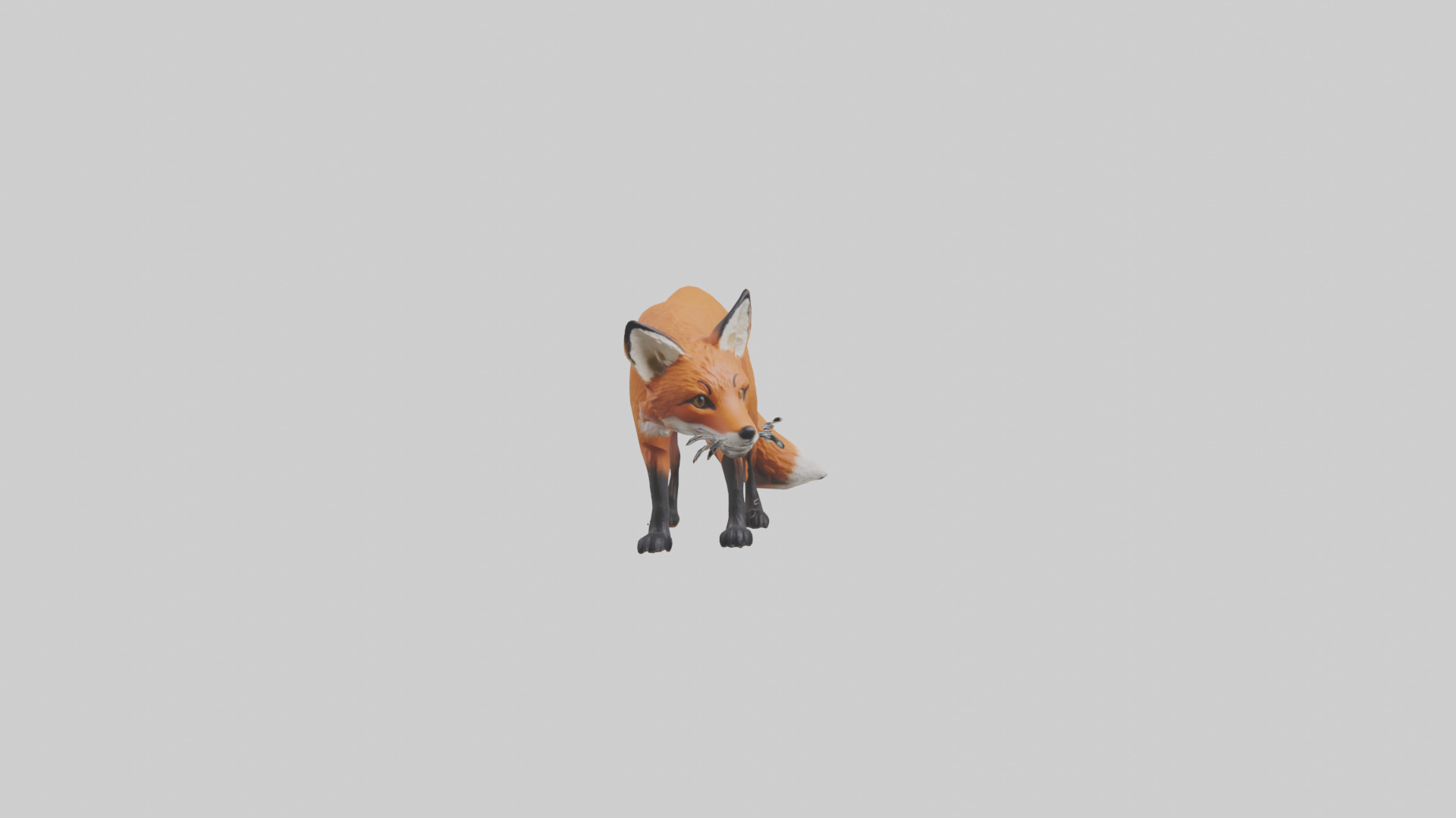 Red Fox stalking model Low-poly 3D model_9