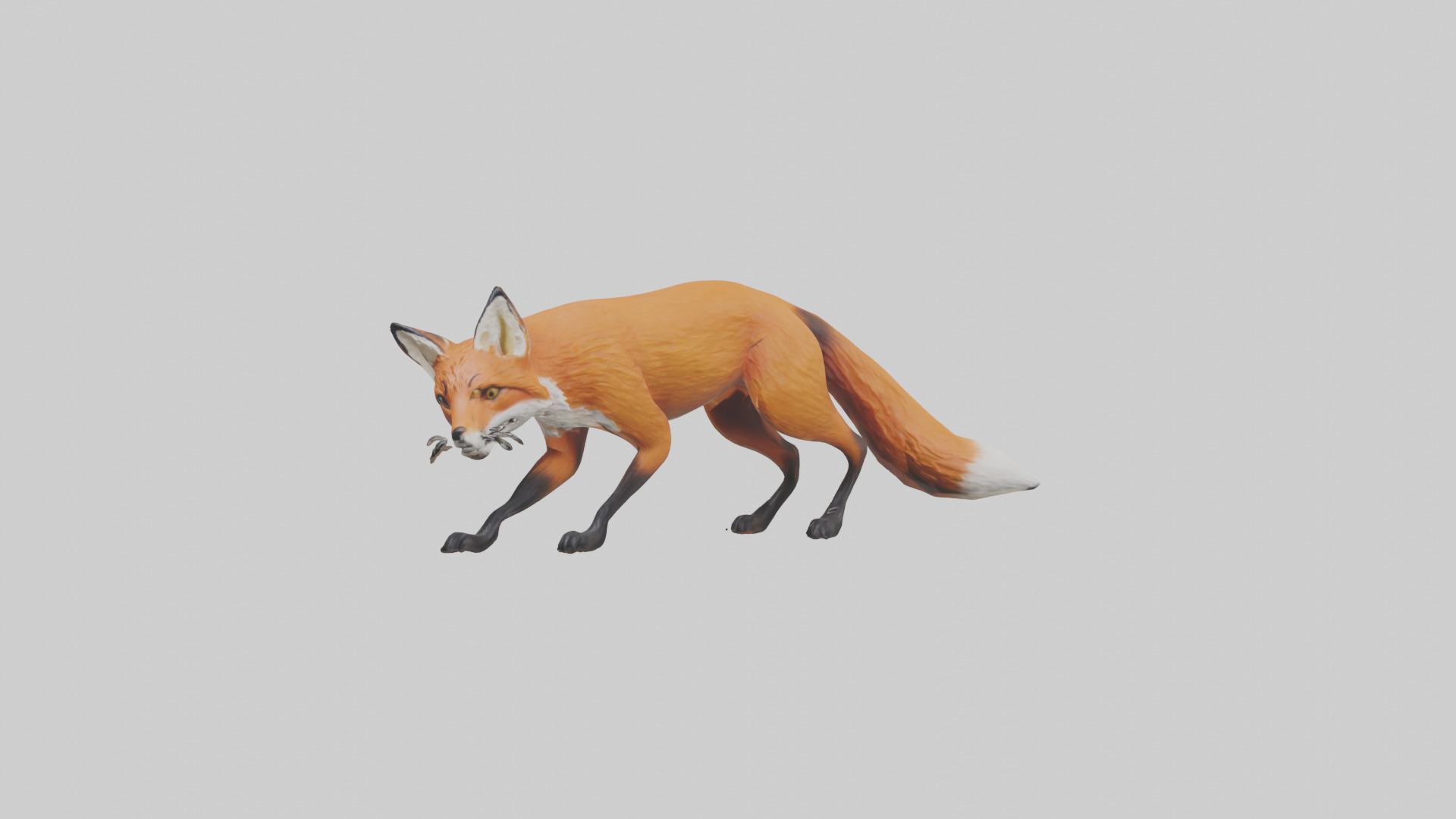 Red Fox stalking model Low-poly 3D model_10