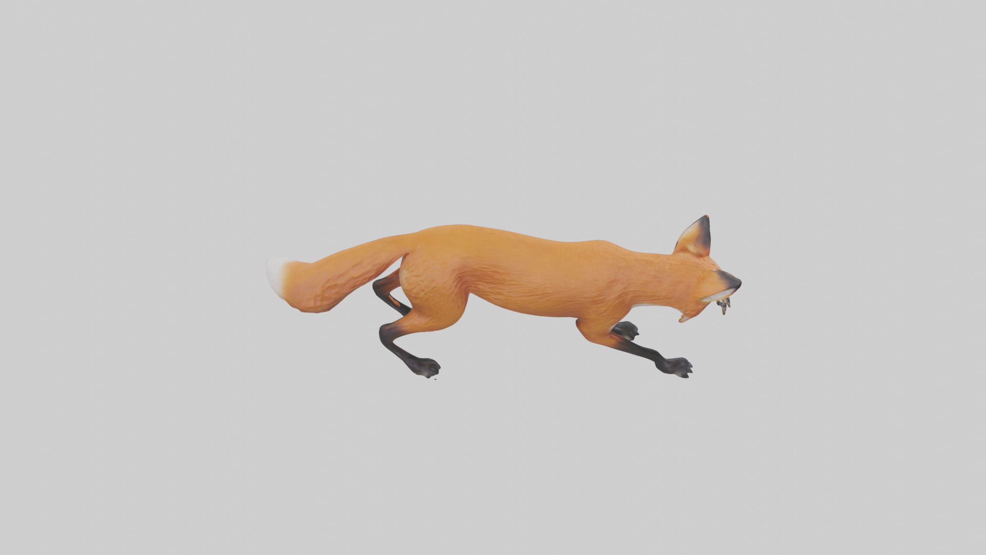 Red Fox stalking model Low-poly 3D model_18