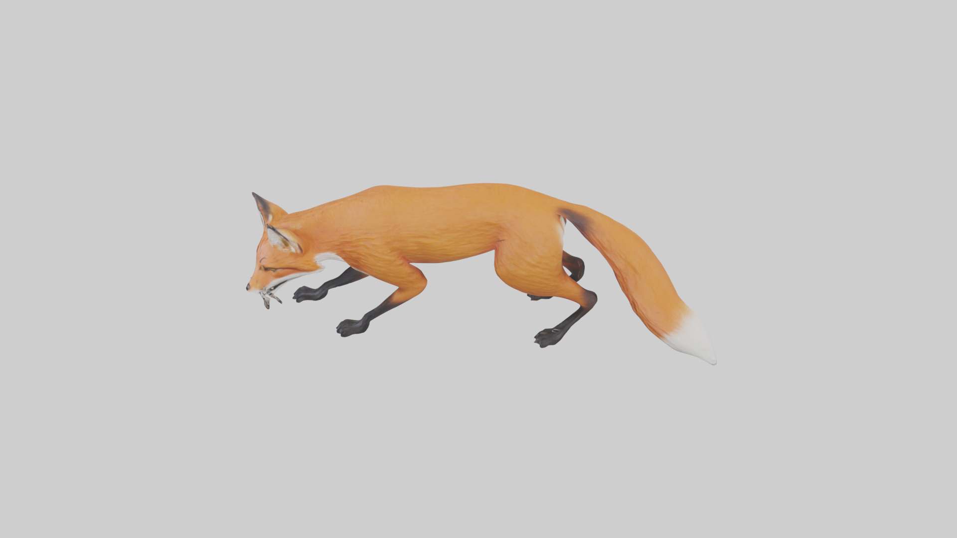 Red Fox stalking model Low-poly 3D model_17