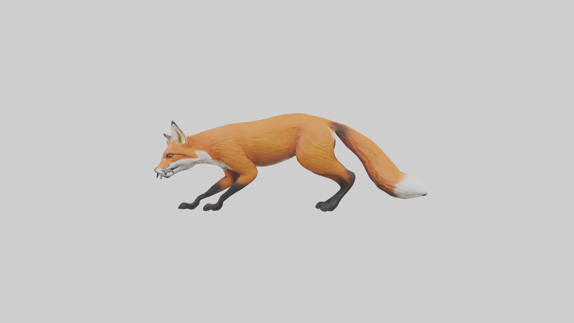 Red Fox stalking model Low-poly 3D model_12