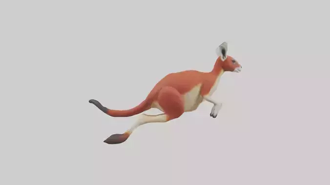 Red Kangaroo hopping model Low-poly 3D model