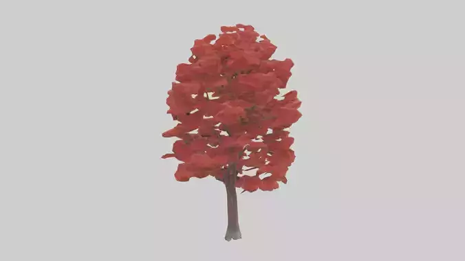 Red Maple tree model