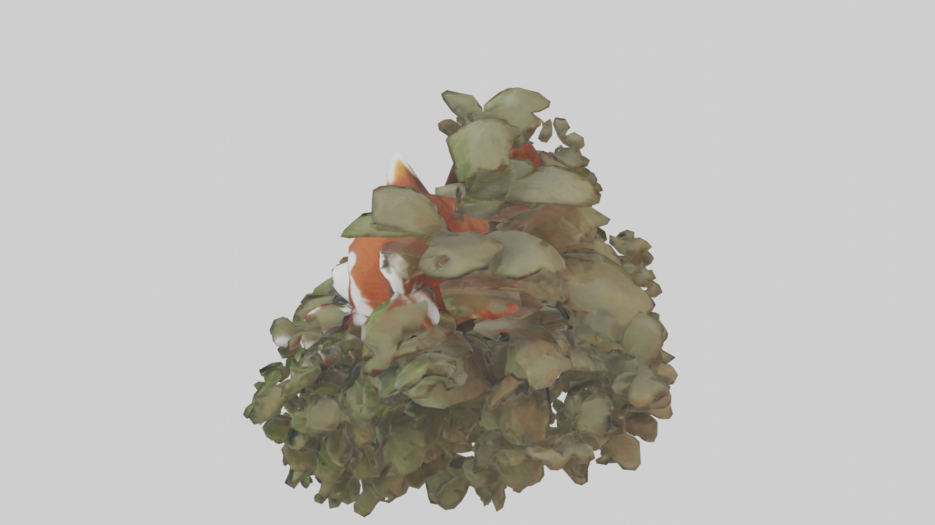 Red Panda hiding model Low-poly 3D model_17
