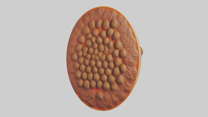 Meatball platter model Low-poly 3D model 3